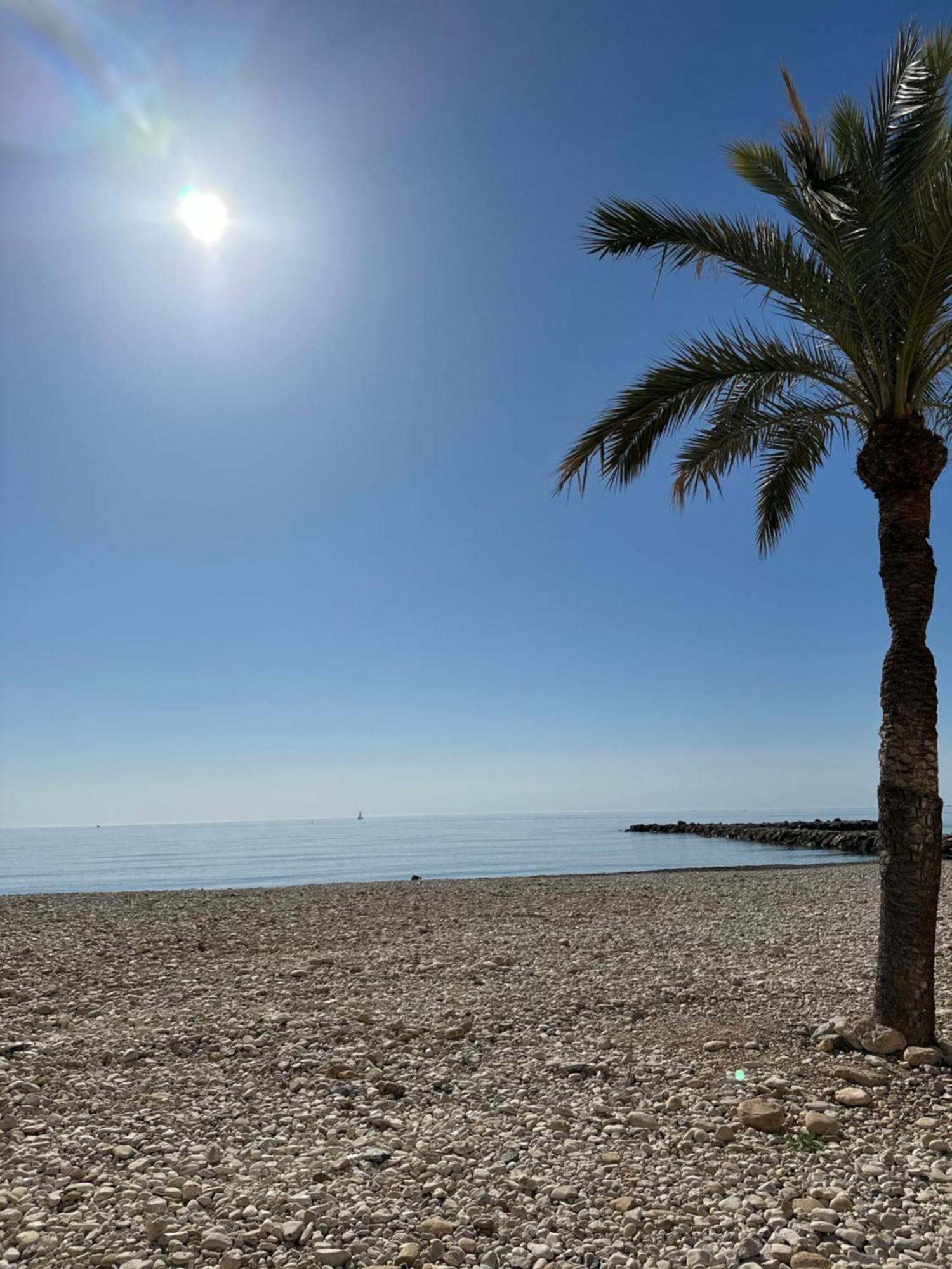 Precioso Apartamento De 3 Dormitorios Con Acceso Directo A La Playa ألتيا المظهر الخارجي الصورة