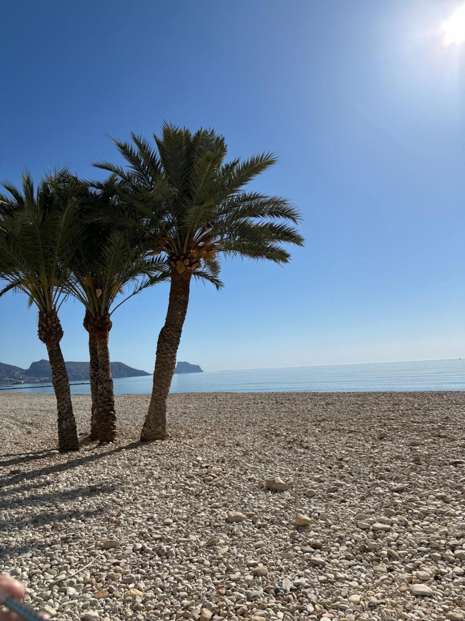 Precioso Apartamento De 3 Dormitorios Con Acceso Directo A La Playa ألتيا المظهر الخارجي الصورة